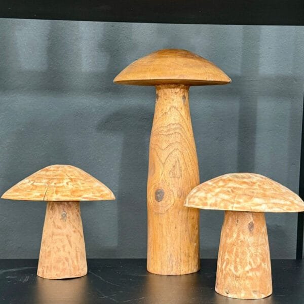 Escultura Hongos